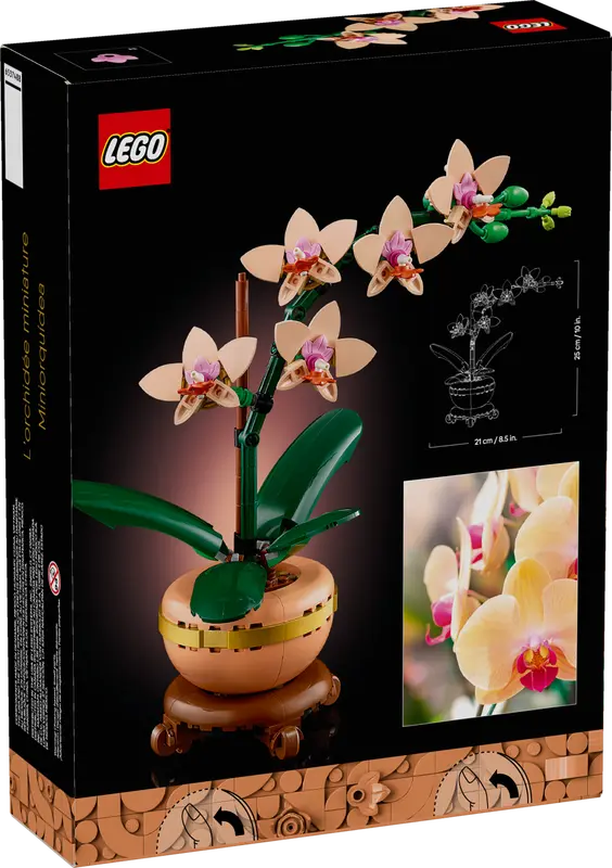 LEGO® Botanicals Miniaturní orchidej / 10343